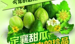 莱芜吃瓜爆料网站官网最新,揭秘最新热门事件幕后真相