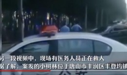 唐山爆料警察事件最新,深入调查，严惩违法行为