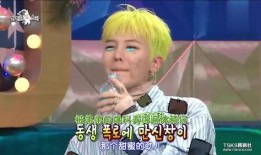 黄队宝宝最新爆料,揭秘黄队最新动态与幕后故事