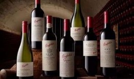 葡萄酒最新爆料文案,独家爆料带你领略非凡风味