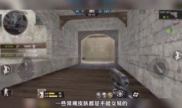 cf最新爆料cop,Cop角色全新升级，战力再创新高！