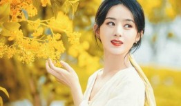 最新爆料顶流女星,美貌与才华并存的璀璨之星