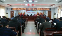 新港最新爆料新闻,最新爆料新闻背后的惊人真相