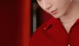 成毅主播爆料最新消息视频,揭秘娱乐圈幕后真相