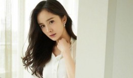 最新爆料顶流女星,美貌与才华并存的璀璨之星