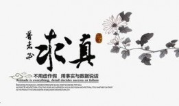 最新人文爆料文案素材,探寻历史与现实的交融之美