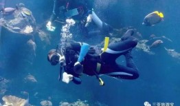 三亚房产爆料网最新消息,揭秘三亚房产爆料网最新爆料！