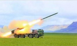 南非大炮爆料最新消息,揭秘重大国际事件内幕