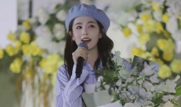 最新爆料白鹿近况如何了,最新爆料揭示其现状